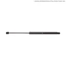 BuyAutoParts Hood Lift Support LR-G1263AN for Lexus GS350, GS460, GS430, GS450h, GS300